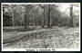 Real Photograph by N S Seaward of Springtime in Christchurch - 48521 - Postcard