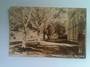 Real Photograph of of Street in Christchurch. - 48525 - Postcard