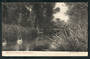 Postcard of Spring Creek Marlborough. - 48718 - Postcard