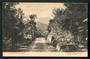 Postcard of Buller Road. - 48786 - Postcard