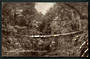 Undivided Real Photograph of Bush Scene West Coast. - 48791 - Postcard