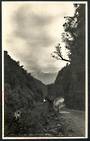 View of Childrens Park Greymouth. Very nice scene - 48828 - Postcard