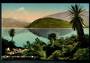 Coloured postcard by Muir and Moodie of Glen Dhu Lake Wanaka. - 49034 - Postcard