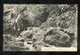 Postcard of Morrison's Creek Dunedin. - 49137 - Postcard