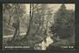 Postcard of Botannical Gardens Dunedin. - 49196 - Postcard