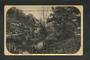 Postcard of a pretty spot Gardens Dunedin. - 49284 - Postcard