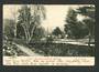Postcard by Muir & Moodie of Botannical Gardens Dunedin. - 49292 - Postcard