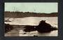 Early Undivided Postcard by Muir & Moodie of Botannical Gardens Dunedin. - 49299 - Postcard