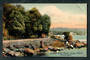 Coloured postcard by Sagers of Harold's Point Track Stewart Island. - 49344 - Postcard