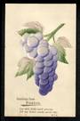 Coloured postcard. Greetings from Foxton. - 49760 - Postcard