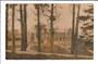 Real Photograph of substantial building through trees. Probably Christchurch. - 49781 - Postcard
