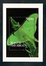 AMURKAYA 1996 Butterflies. Miniature sheet. - 50158 - UHM