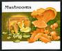 AFGHANISTAN 1998 Fungi. Miniature sheet. - 50871 - CTO