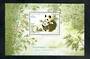 AUSTRALIA 1995 Australia-China Joint Issue Panda and Koala. Pair of miniature sheets. - 50988 - UHM