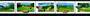 CANADA 1995 Golf. Strip of 5. - 53826 - UHM
