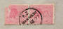 NEW ZEALAND Postmark Dunedin TAIERI MOUTH. A Class cancel on pair of 1d Second Sideface. One of the pair is damaged. - 79395 -