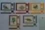 GIBRALTAR 1977 Definitives. Chalk surfaced issues with imprint date 1981. SG 379b 383a 384a 386a 387a. Set of 5. - 8 - UHM